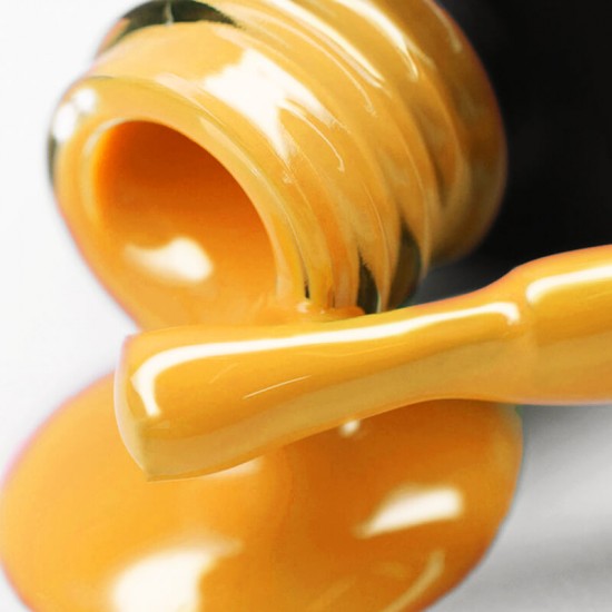 Gel polish PNB  253 8 ml