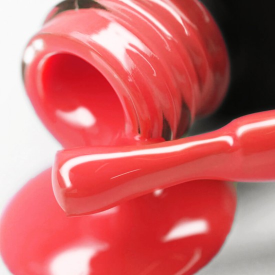 Gel polish PNB  254 8 ml