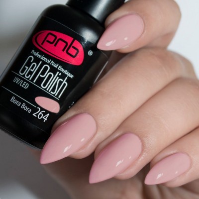 Gel polish PNB  264 8 ml