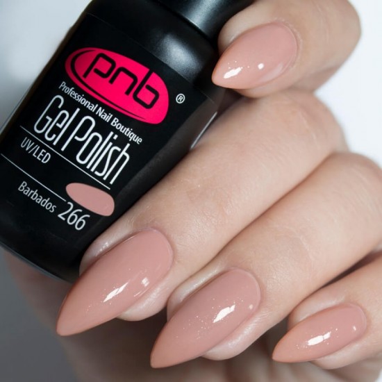 Gel polish PNB  266 8 ml