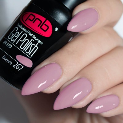 Gel polish PNB  267 8 ml