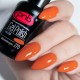 Gel polish PNB  270 8 ml