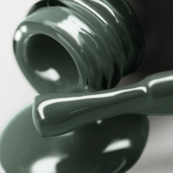 Gel polish PNB  272 8 ml