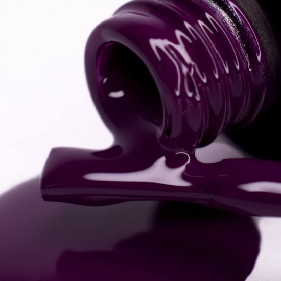 Gel polish PNB  279 8 ml