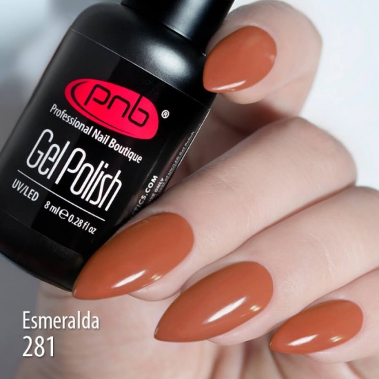 Gel polish PNB  281 8 ml