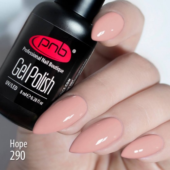 Gel polish PNB  290 8 ml