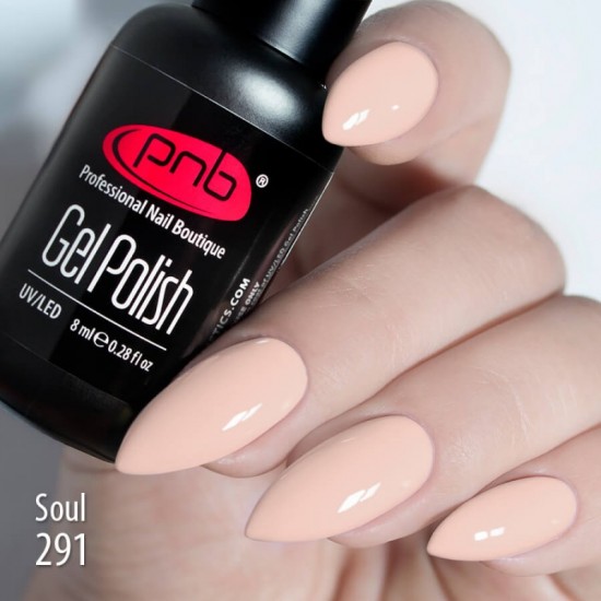 Gel polish PNB  291 8 ml