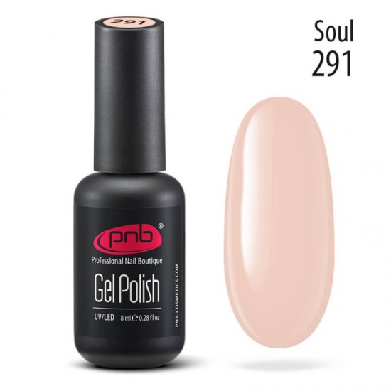 Gel polish PNB  291 8 ml