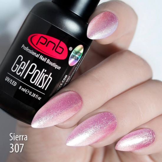 Gel polish PNB 307 8 ml