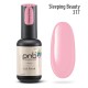 Gel polish PNB  317 8 ml