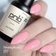 Gel polish PNB  317 8 ml