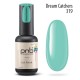 Gel polish PNB  319 8 ml