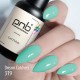 Gel polish PNB  319 8 ml